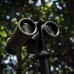 Dorr Binocular Tripod Adapter